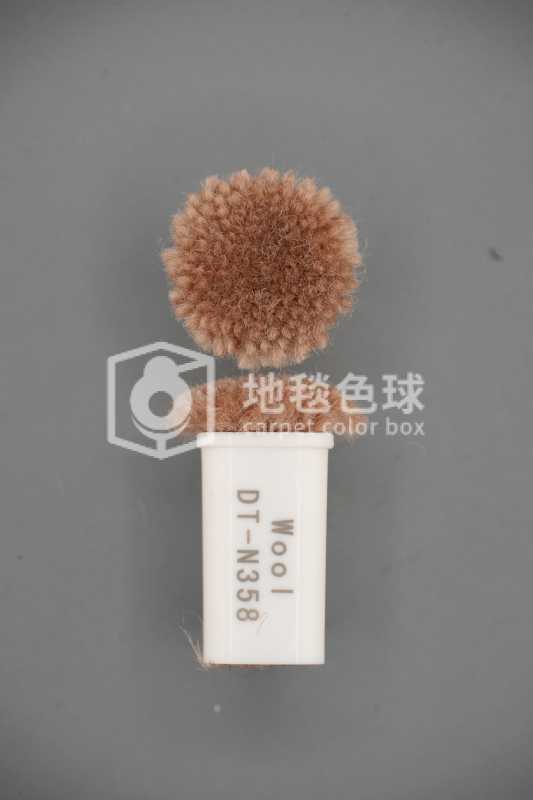 DT N358
