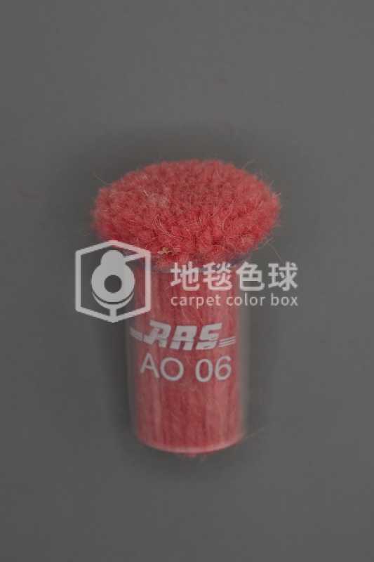 ARS AO06
