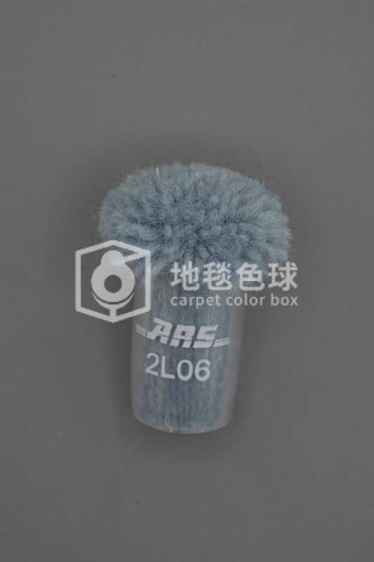 ARS 2L06