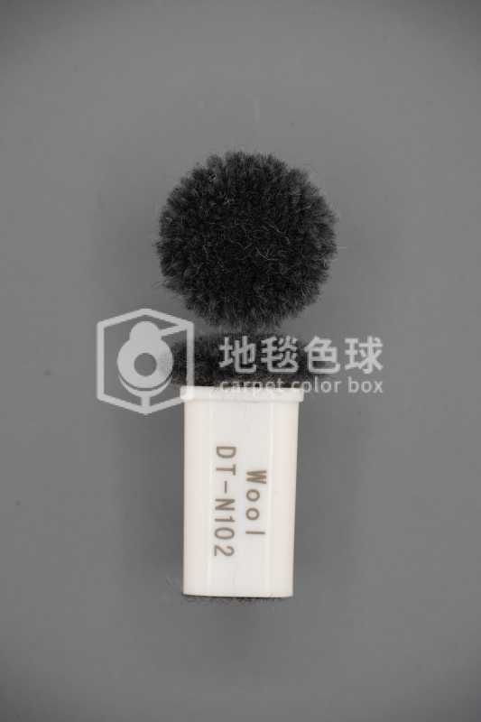 DT N102