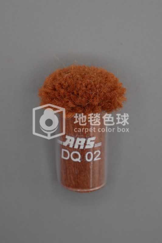 ARS DQ02