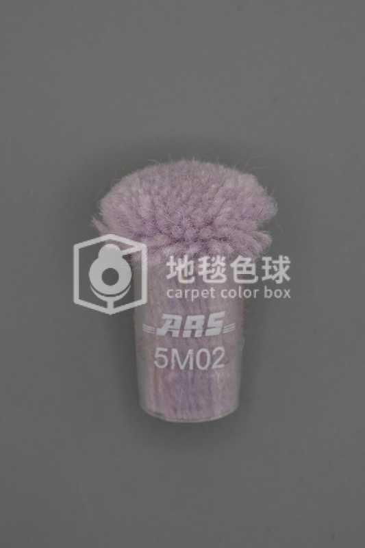 ARS 5M02