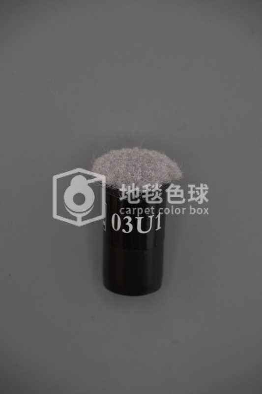 03U1