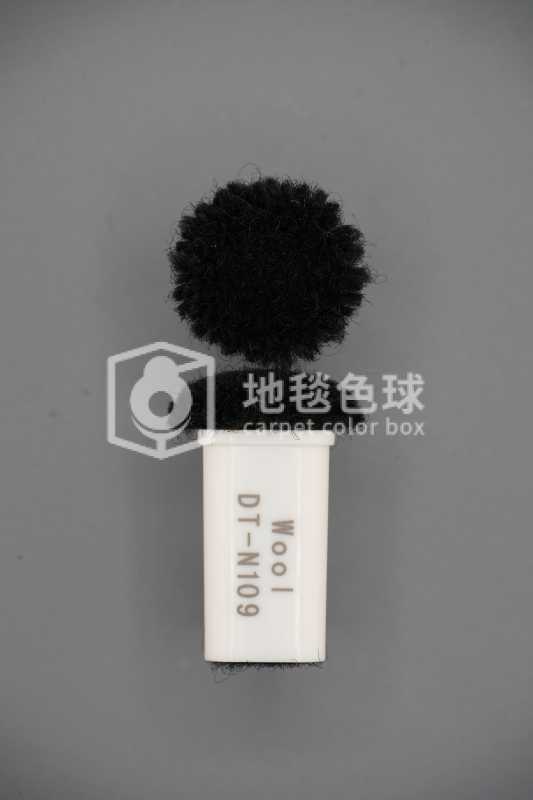 DT N109