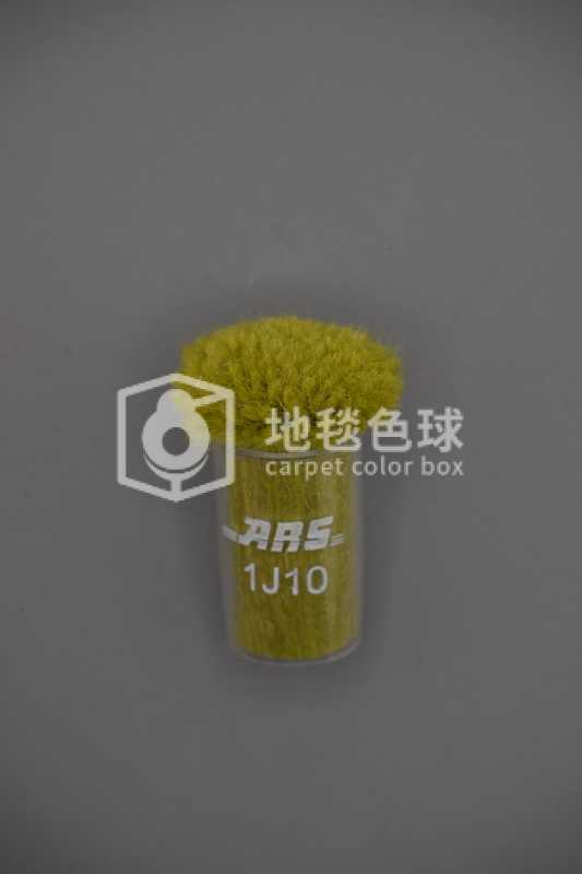 ARS 1J10