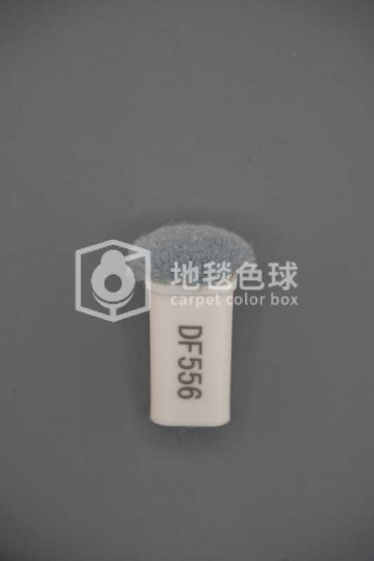 DF556