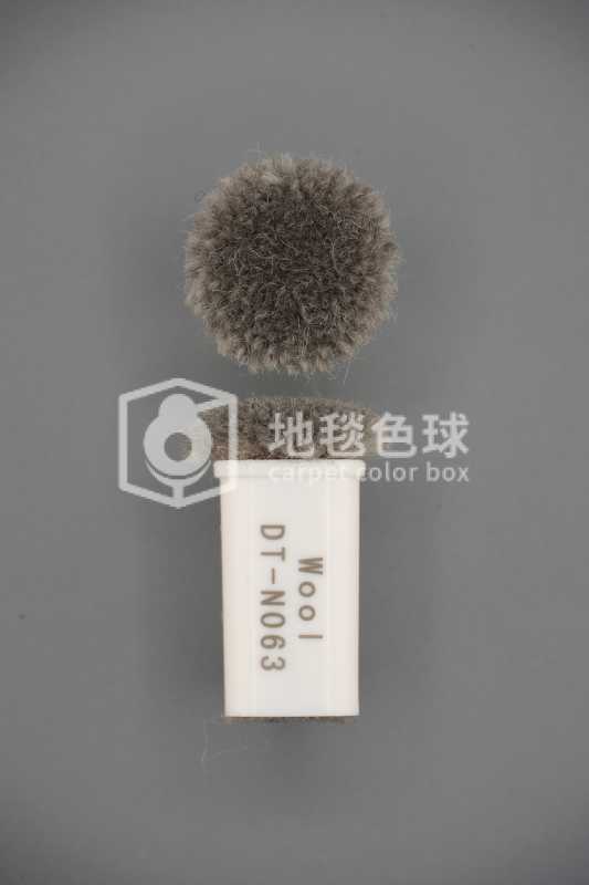 DT N063