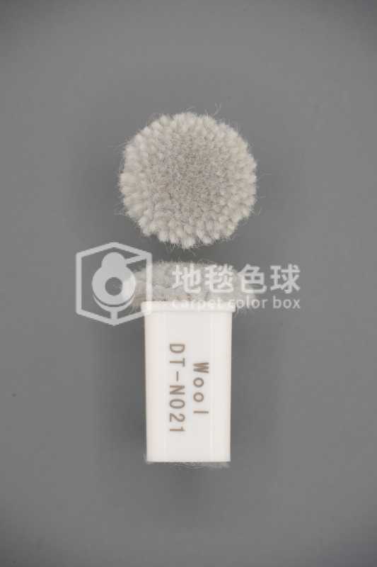DT N021
