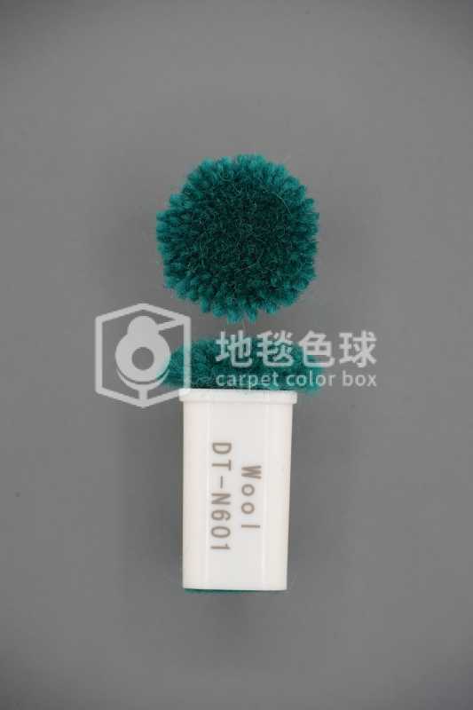 DT N601
