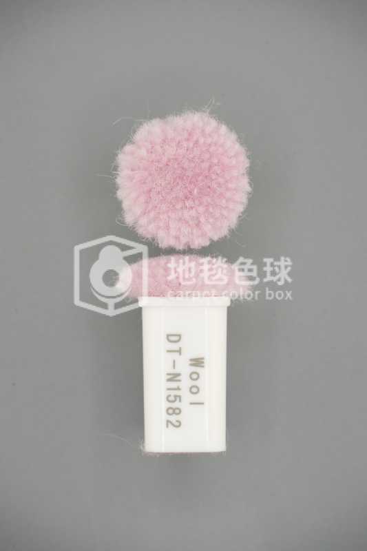 DT N1582