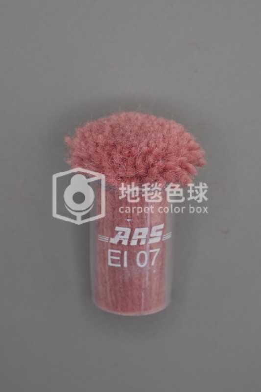 ARS EI07