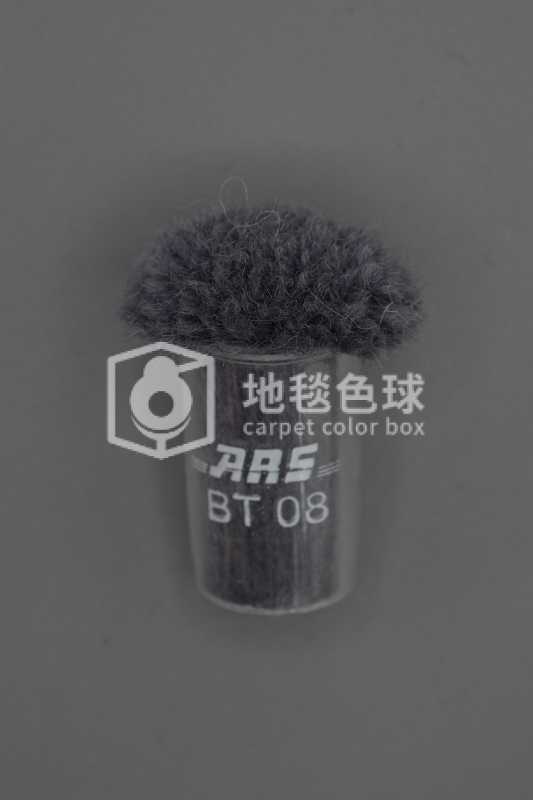 ARS BT08