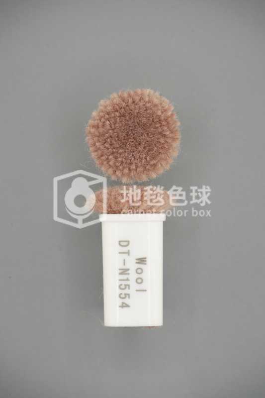 DT N1554