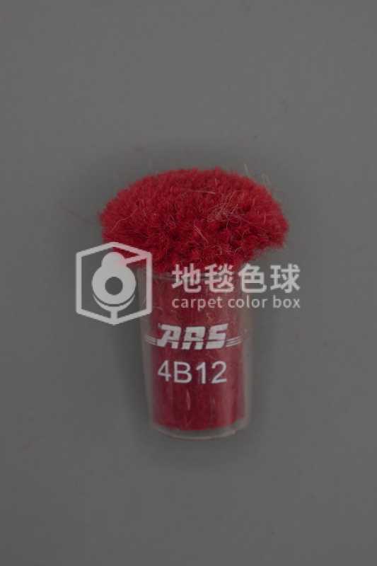 ARS 4B12