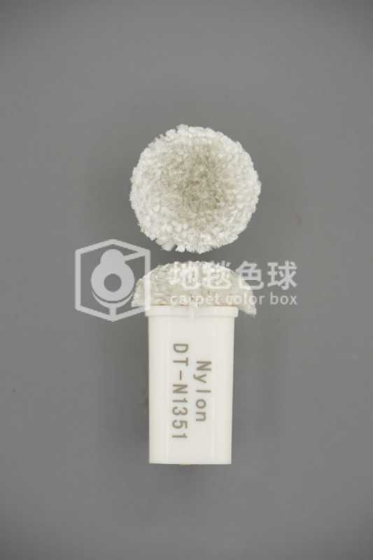 DT N1351