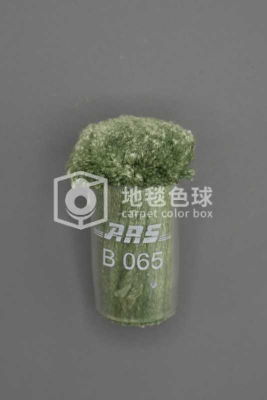 ARS B065