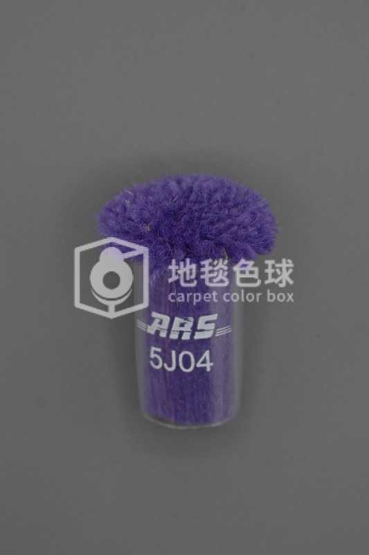 ARS 5J04