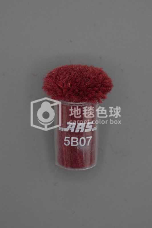 ARS 5B07