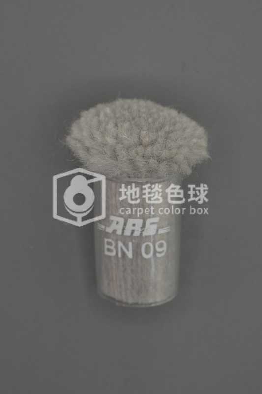 ARS BN09
