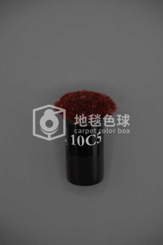 10C5