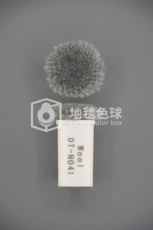 DT N041