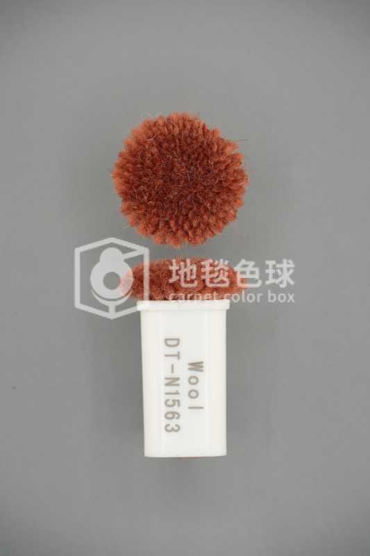 DT N1563