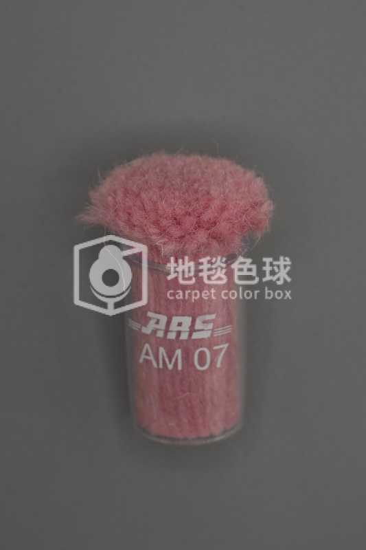 ARS AM07