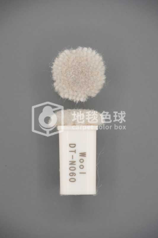 DT N060