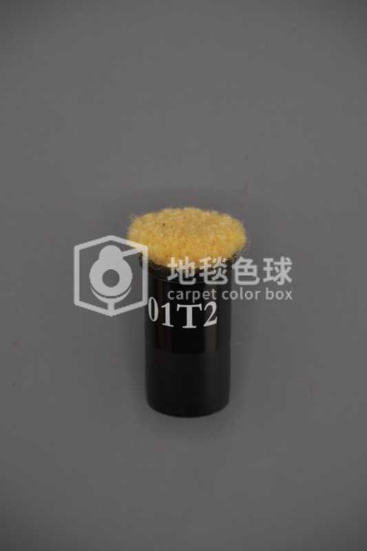 01T2