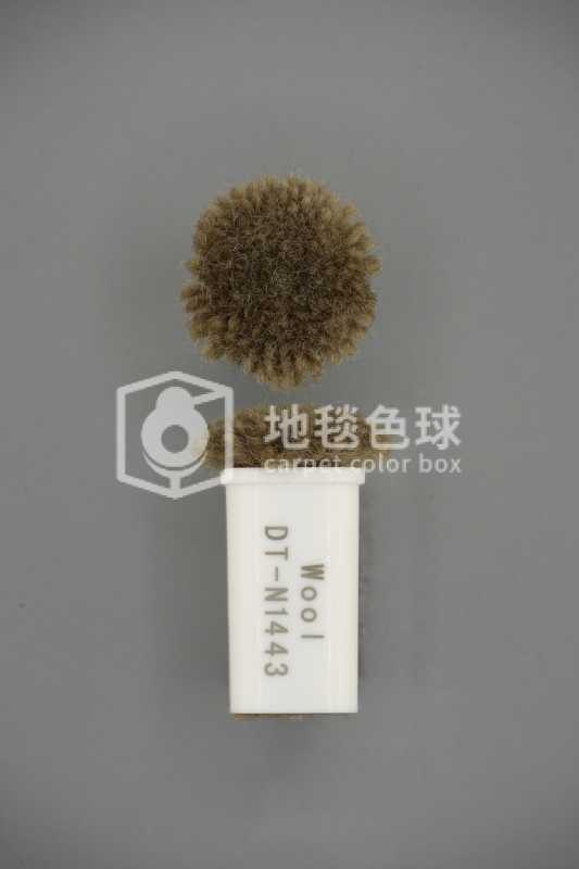 DT N1443