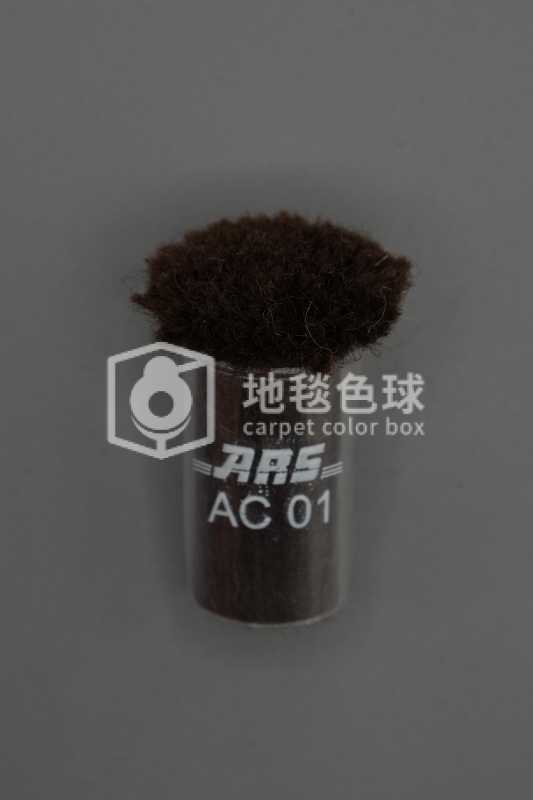 ARS AC01