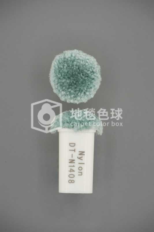 DT N1408