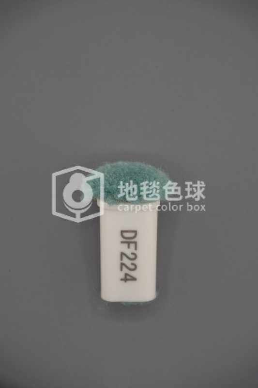 DF224