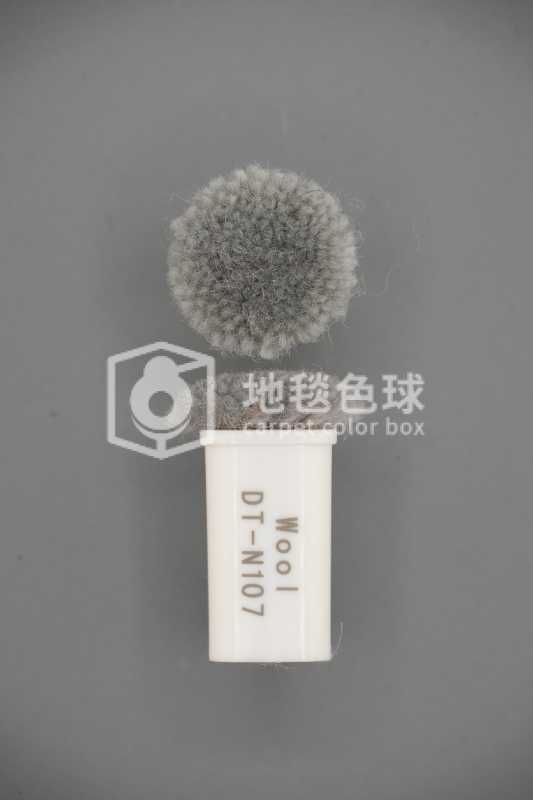 DT N107