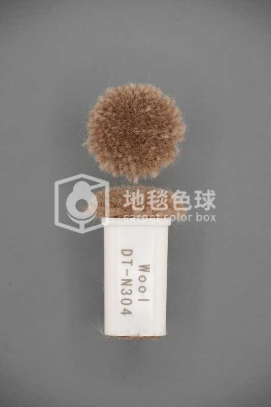 DT N304