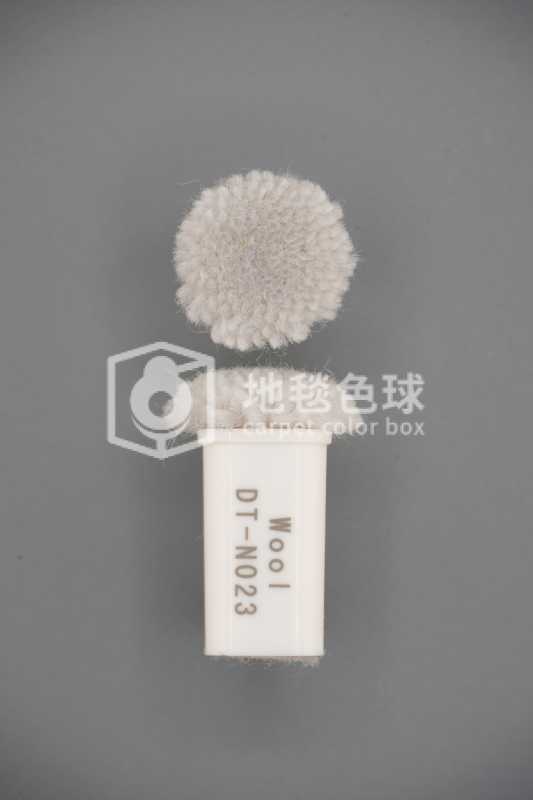 DT N023