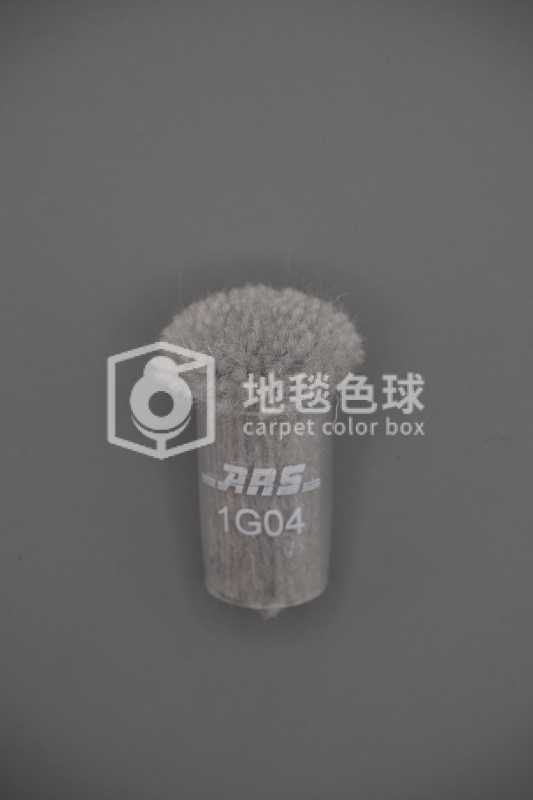 ARS 1G04