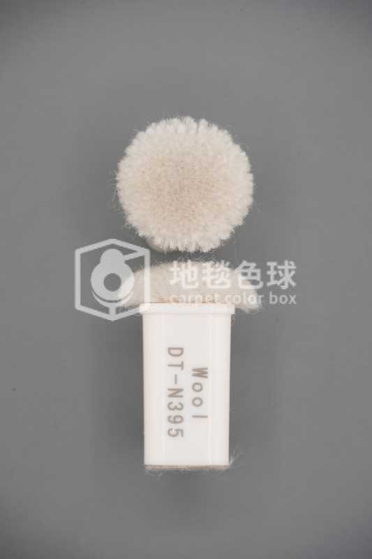 DT N395
