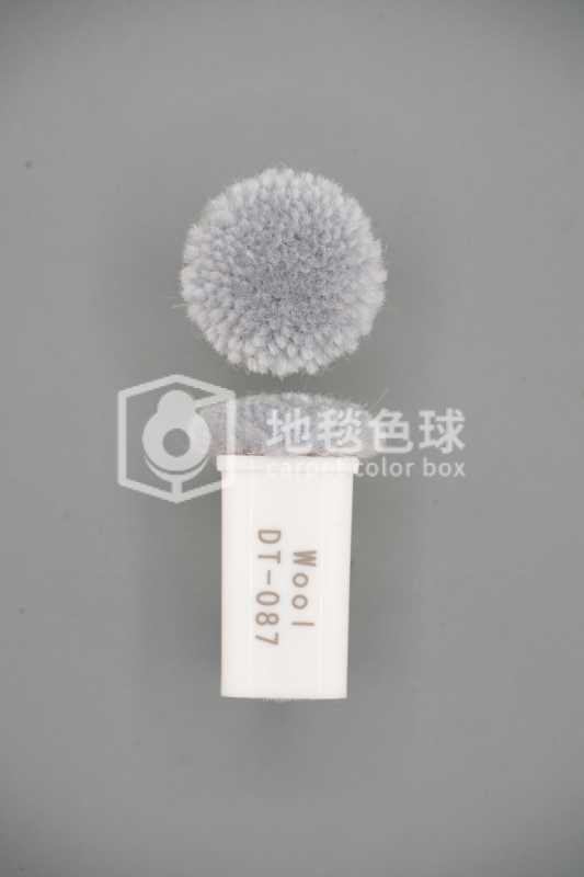 DT 087