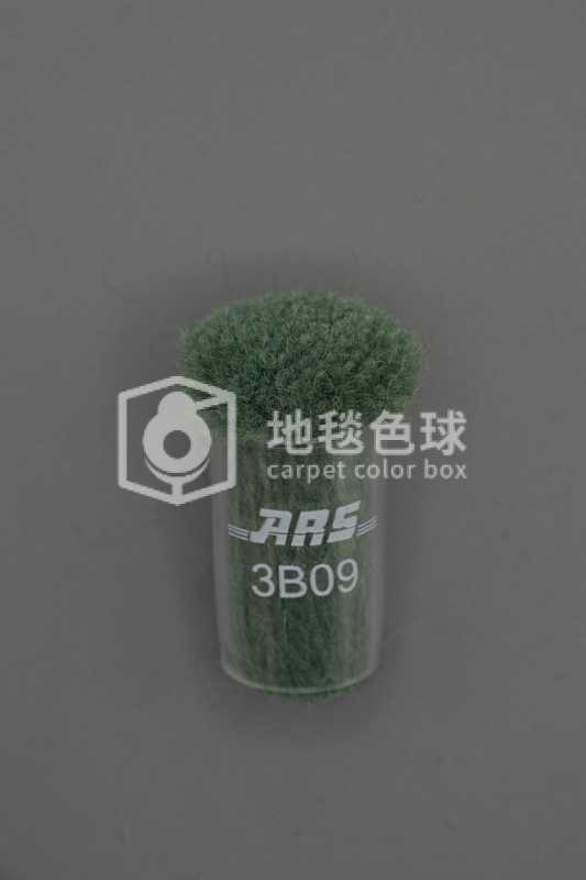 ARS 3B09