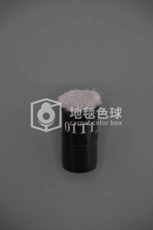 01T1