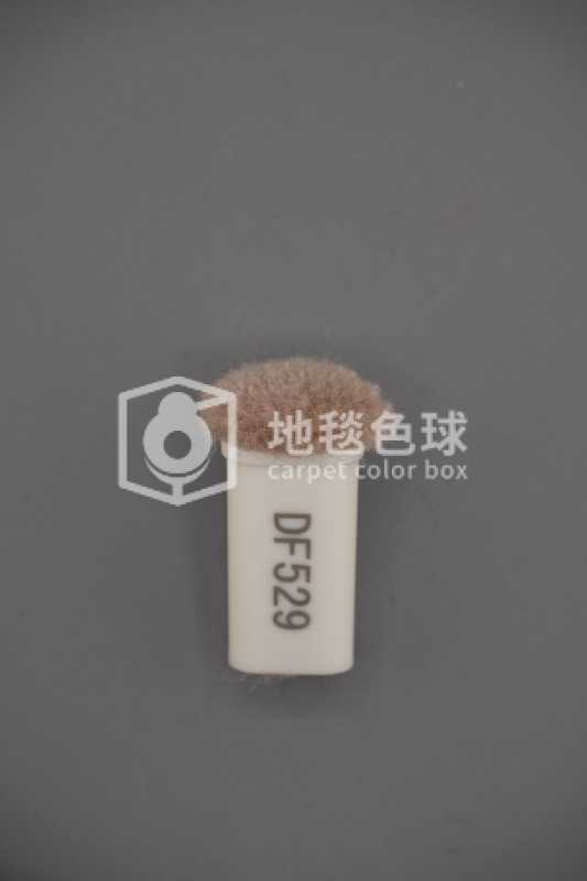 DF529