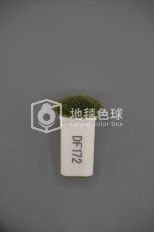 DF172