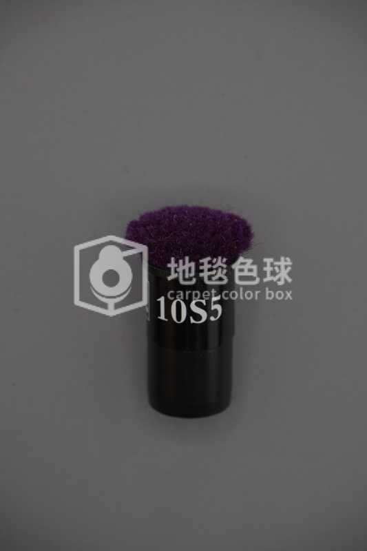 10S5