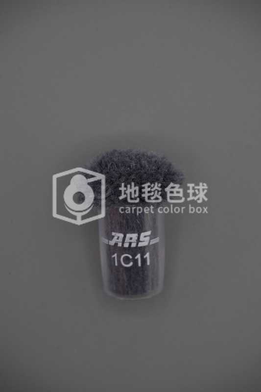 ARS 1C11