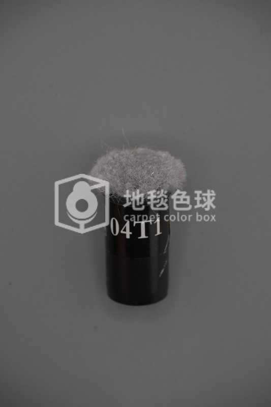 04T1