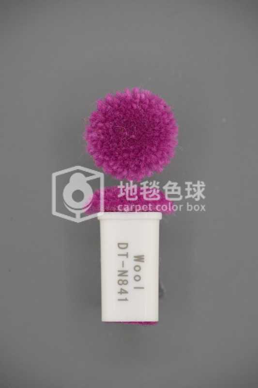 DT N841