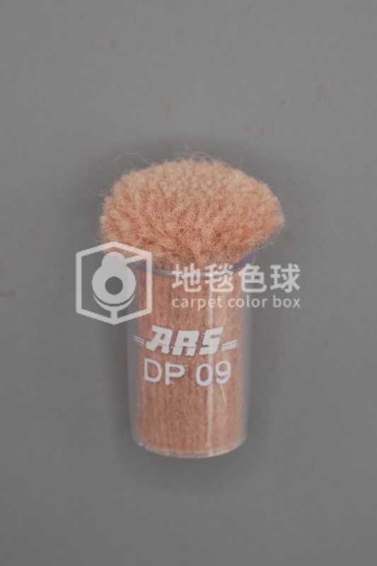 ARS DP09