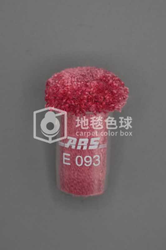 ARS E093