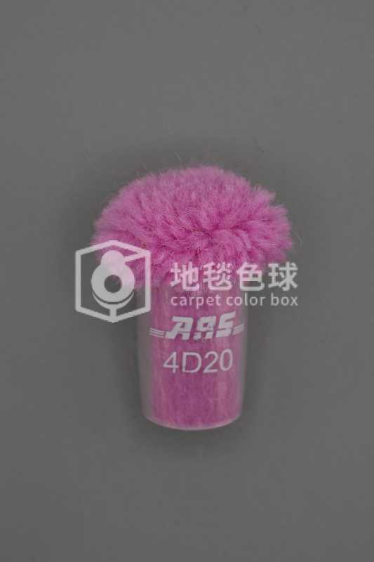 ARS 4D20